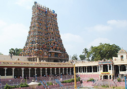 Rakhi to Tamil Nadu